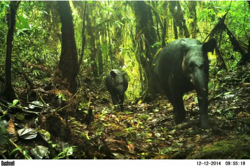 Las cámaras trampa: Instrumentos para descubrir nuestra rica biodiversidad