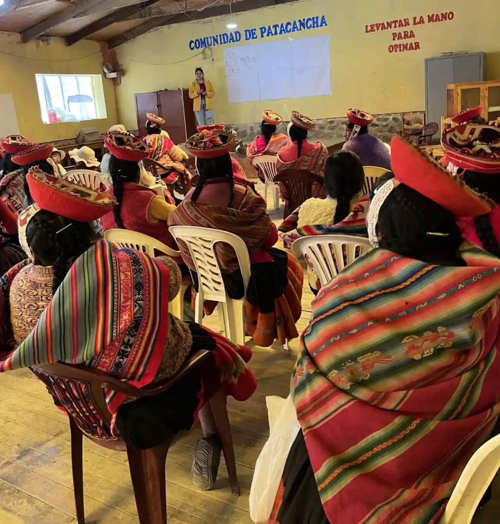 aves-pisac-crianza-2