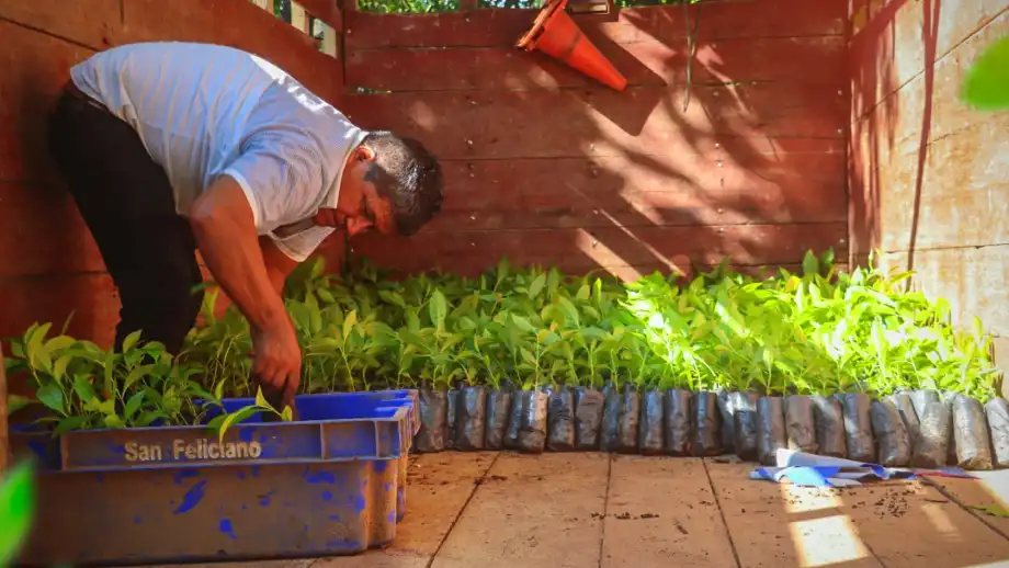 El proyecto estuvo a cargo de la Agencia Agraria Satipo y la Municipalidad Provincial de Satipo. (Foto: Muni Satipo).