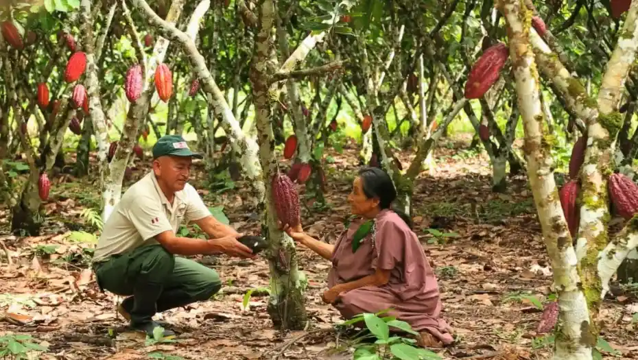 Reservas de biósferas: Equilibrio entre el ser humano y la naturaleza 