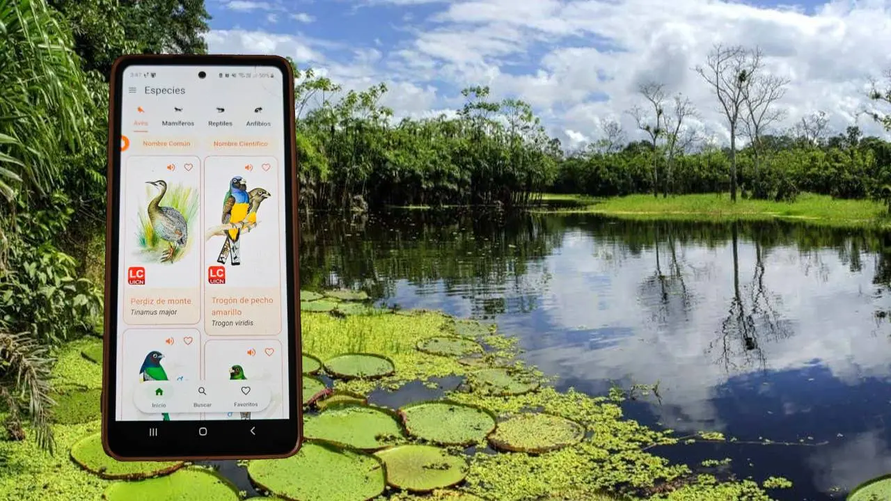 aplicativo-amazonia-guia-ilustrada