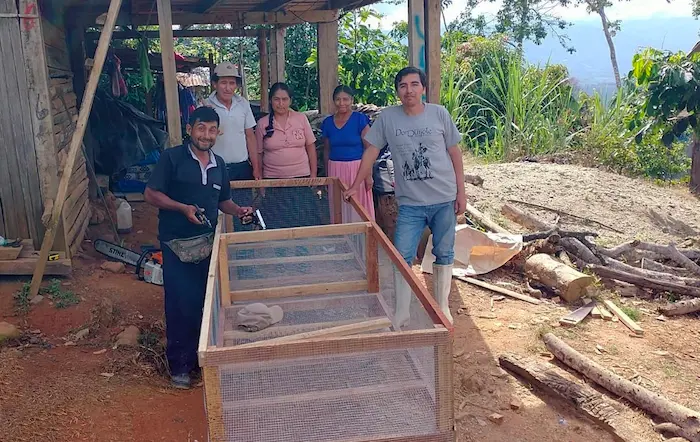 Proyecto de crianza de cuyes busca brindar seguridad alimentaria de familias.