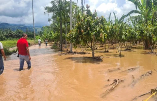 Inundación en el caserío Bajo Cotomono, distrito de Pucayacu, provincia de Leoncio Prado, Huánuco. Ocurrió el 19 de enero debido al incremento del caudal del río Huallaga. (Foto: COEN).