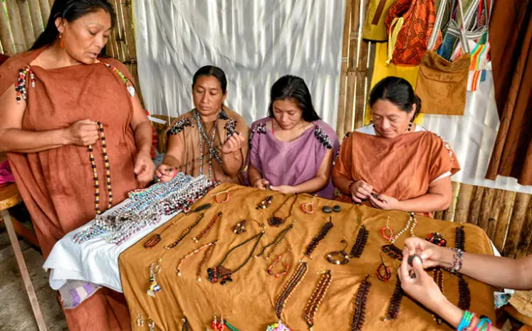 Aprueban plan maestro para la Reserva Comunal Yanesha