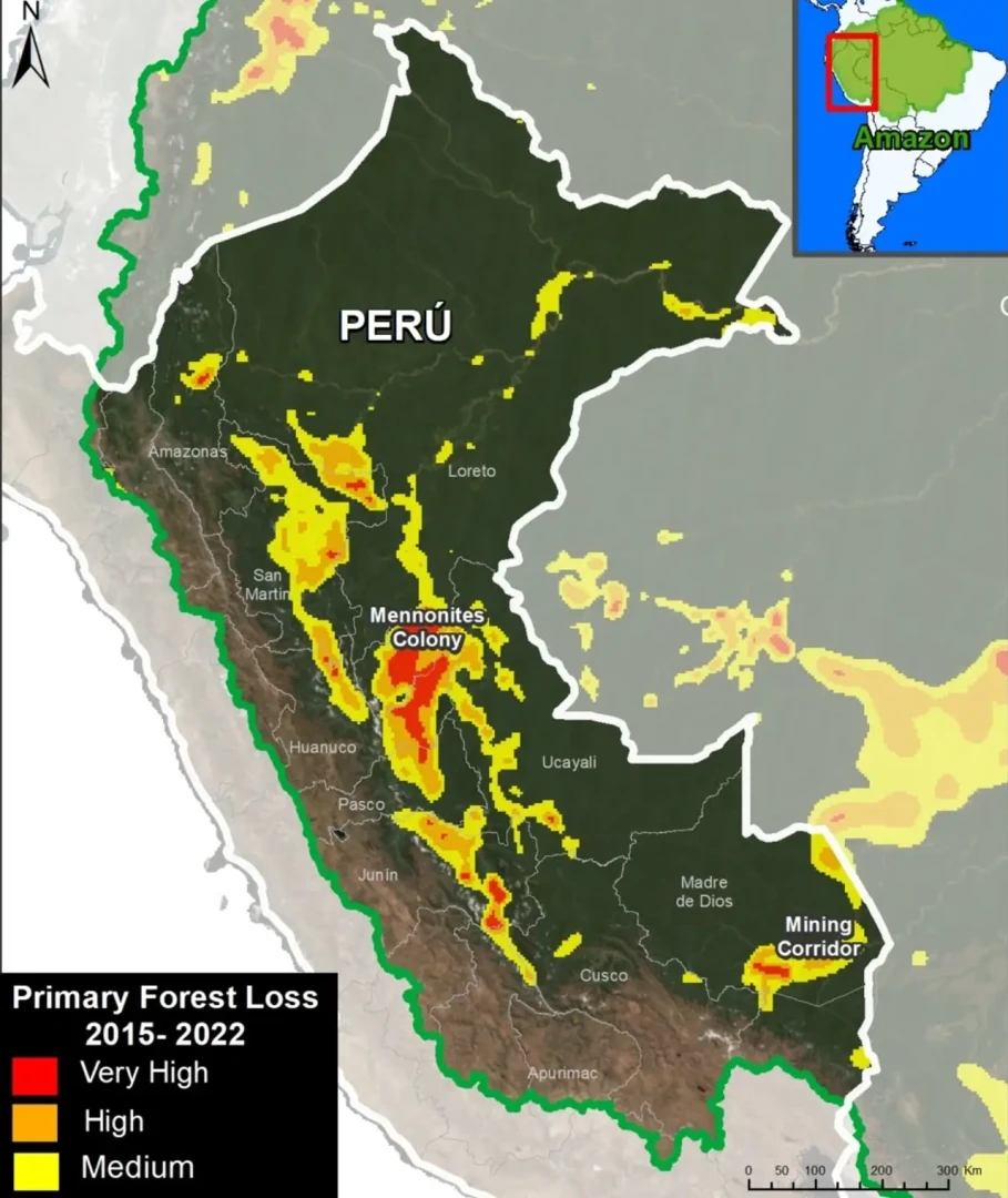 Principales puntos críticos de pérdida de bosques en la Amazonía peruana (imagen: MAAP #200).