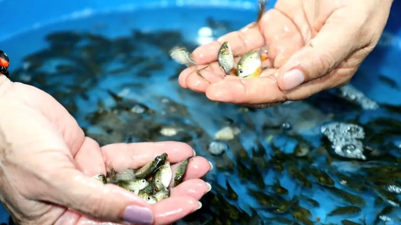 minam-comunidades-amazonicas-loreto-2