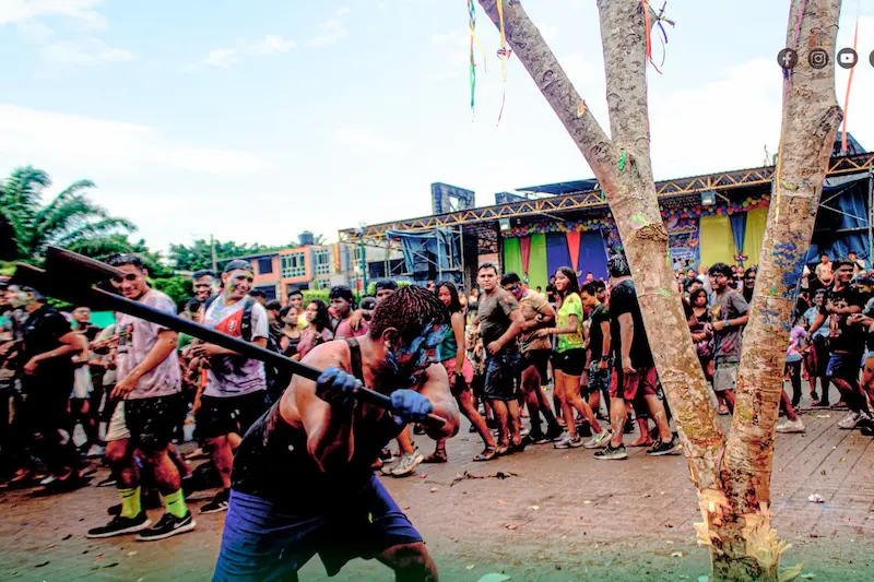 Una de las actividad es la Tumba umsha, donde las personas tienen que derribar un árbol que tiene premios.