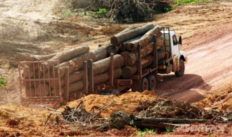 San Martín: Gobierno regional formaliza demanda de inconstitucionalidad contra modificación de Ley Forestal