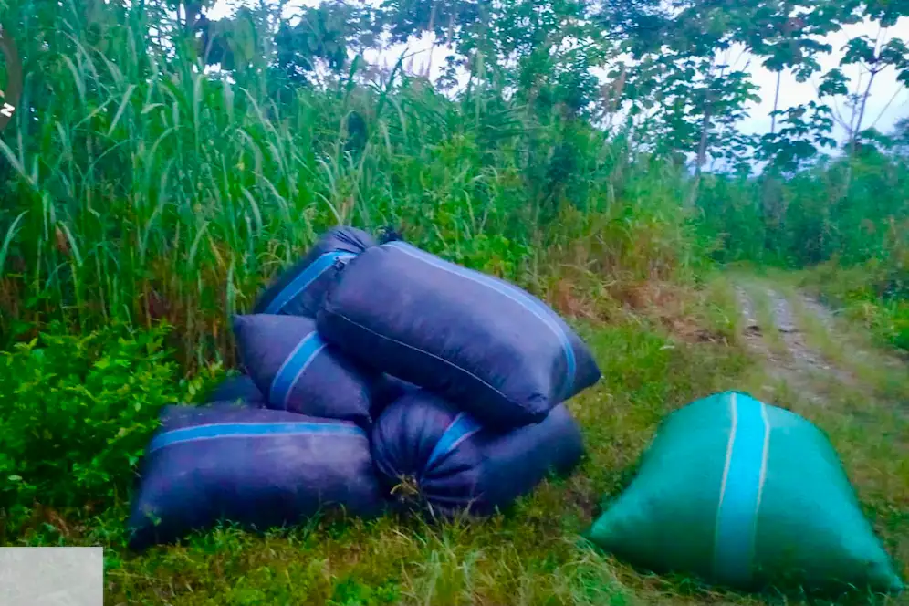 La acción policial se realizó en la provincia de Marañón, región Huánuco.