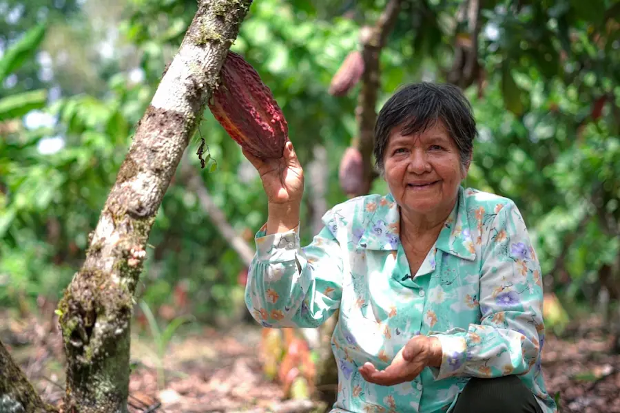 La familia de Isolina fueron los primero que trabajaron con cacao en Aguaytía, región Ucayali.