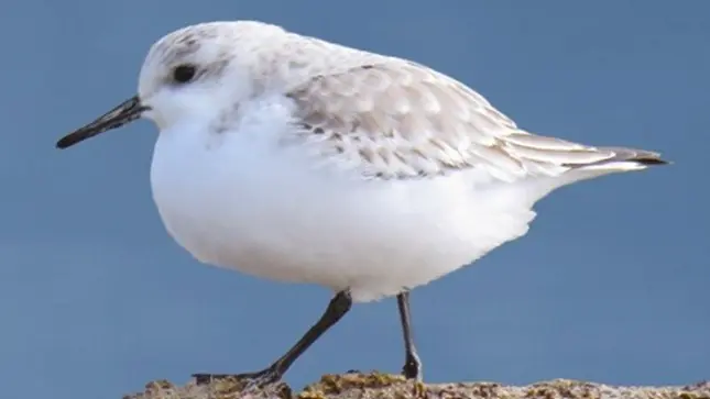 Esta investigación se enfocó en la microcuenca porque provee agua a la ciudad del Cusco. (Foto: Minam).