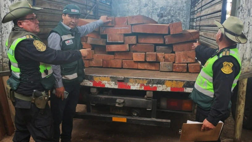 Arequipa: Decomisan madera ilegal valorizada en más de S/ 19 mil 