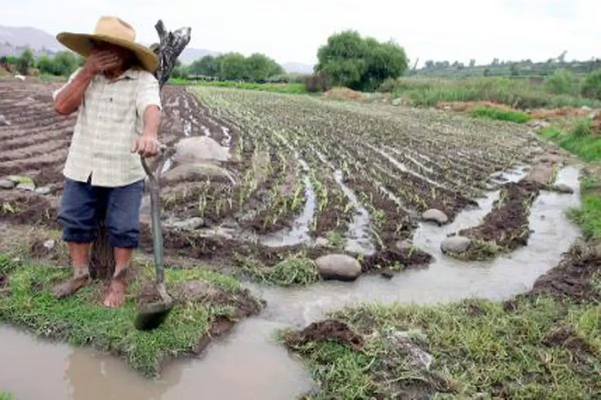Autoridades de Junín están evaluando medidas de apoyo para este sector económico golpeado. (Foto: Gestión).
