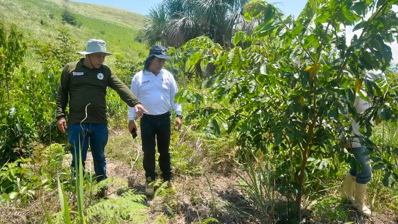 Proyecto espera beneficiar directamente a 9434 vecinos del distrito Pólvora, región San Martín.