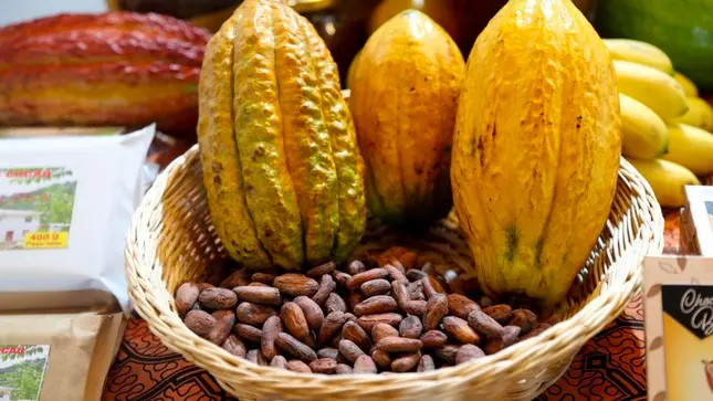 En el 2023, la exportación de cacao y derivados, como el chocolate, ascendió a US$ 432 millones. (Foto: Minam).