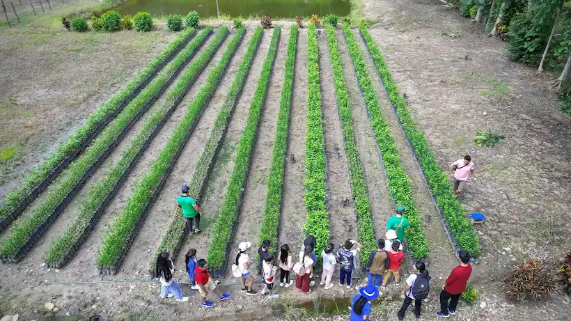 La iniciativa busca implementar acciones de educación ambiental dirigida a niños. (Foto: Municipalidad de Satipo).