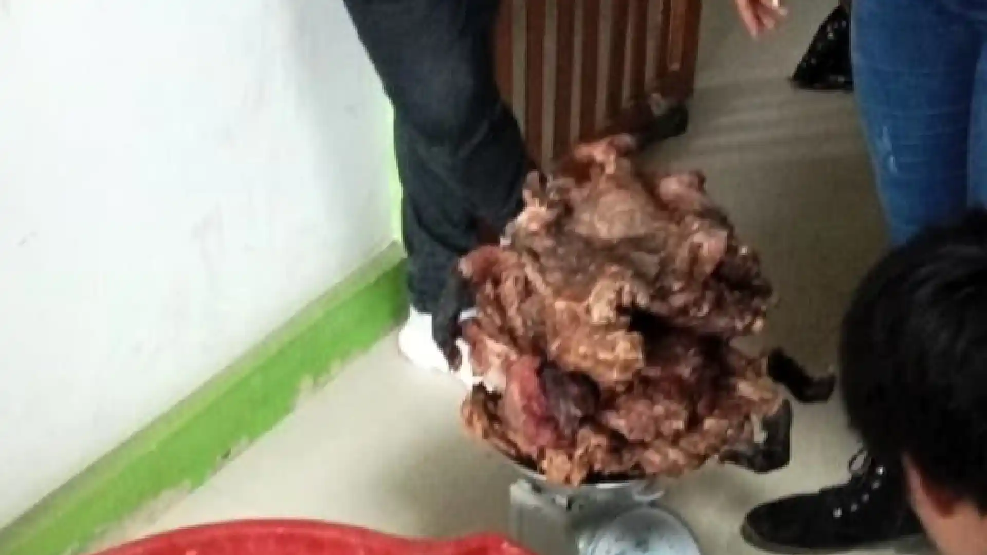 La fiscalía señaló que los responsables serán denunciados penalmente. (Foto: Gerfor)