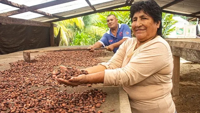 En el 2023, las exportaciones de cacao peruano alcanzaron los US$ 219 millones. (Foto: Devida).