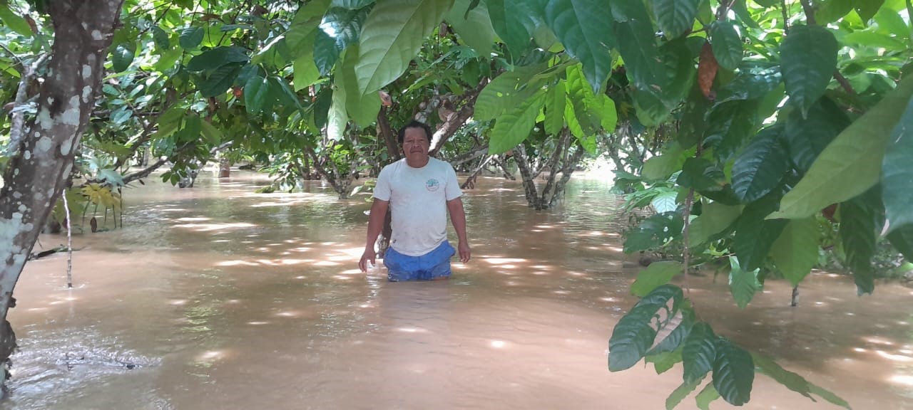Madre de Dios: Más de mil hectáreas de cultivo son afectadas por inundaciones