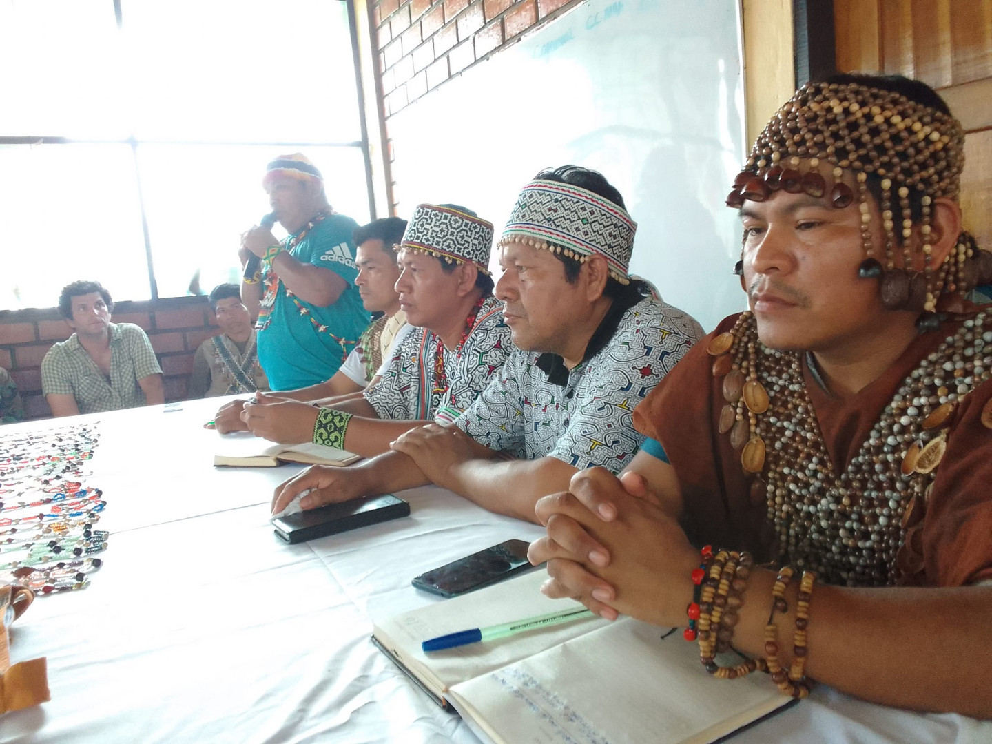 Huánuco: Gobierno Regional rechaza modificatoria de la Ley Forestal