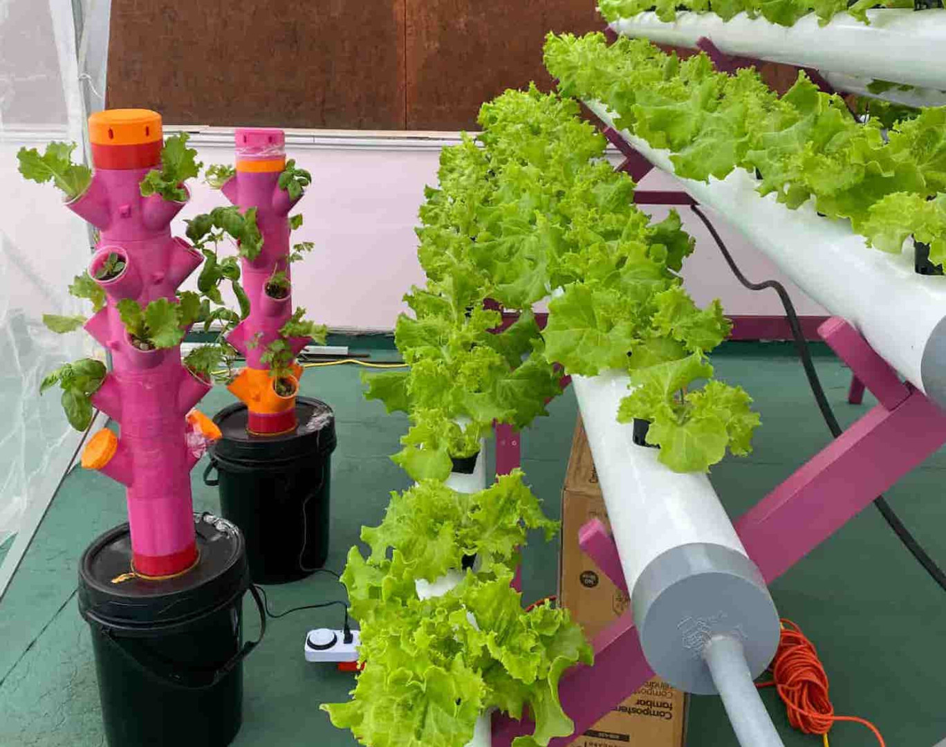 Invernaderos hidropónicos: una alternativa sostenible