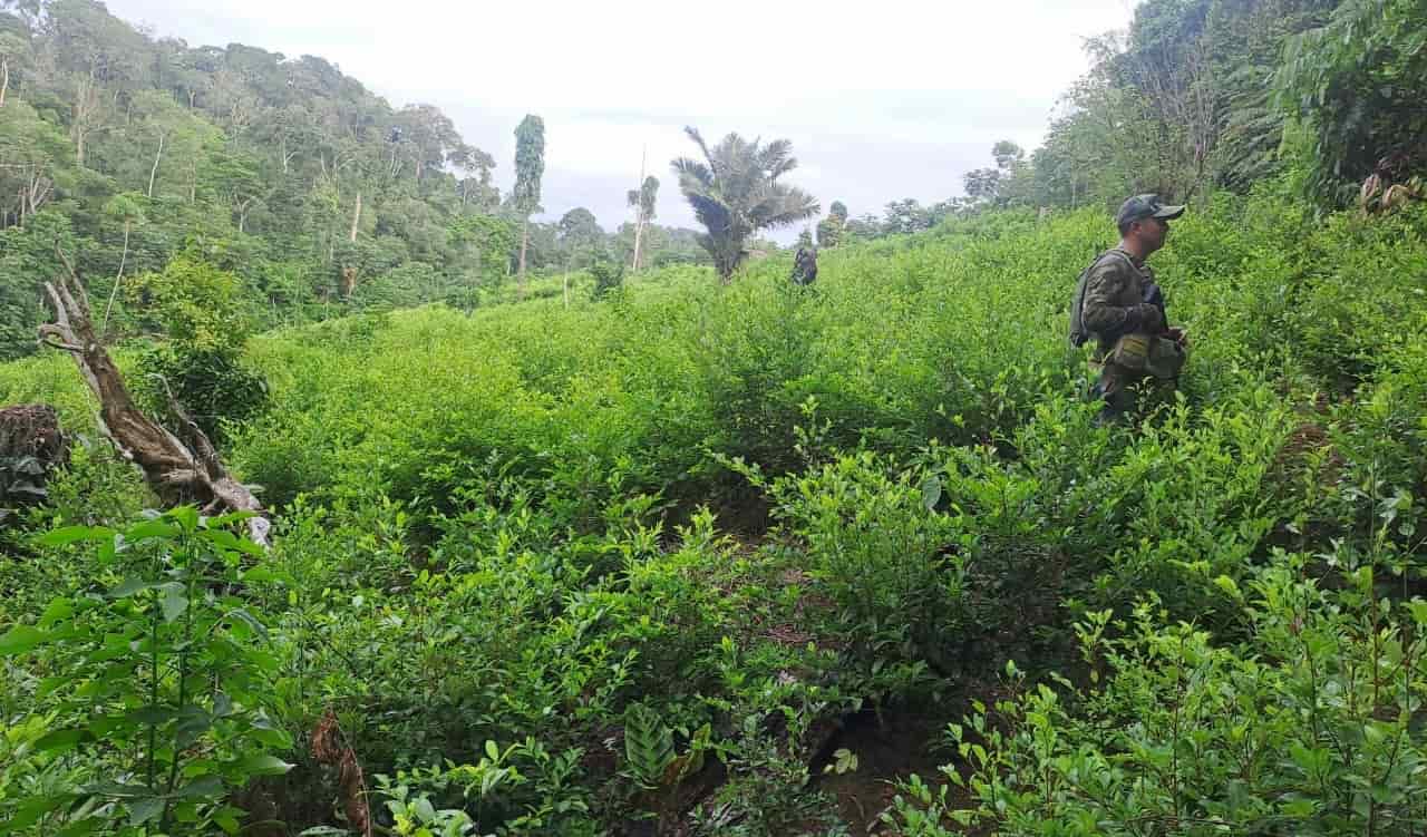 Madre de Dios: Destruyen laboratorio para elaborar droga en el Alto Manuani
