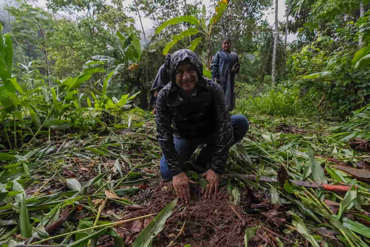 Bosque de Protección San Matías San Carlos cumple 37 años conservando biodiversidad