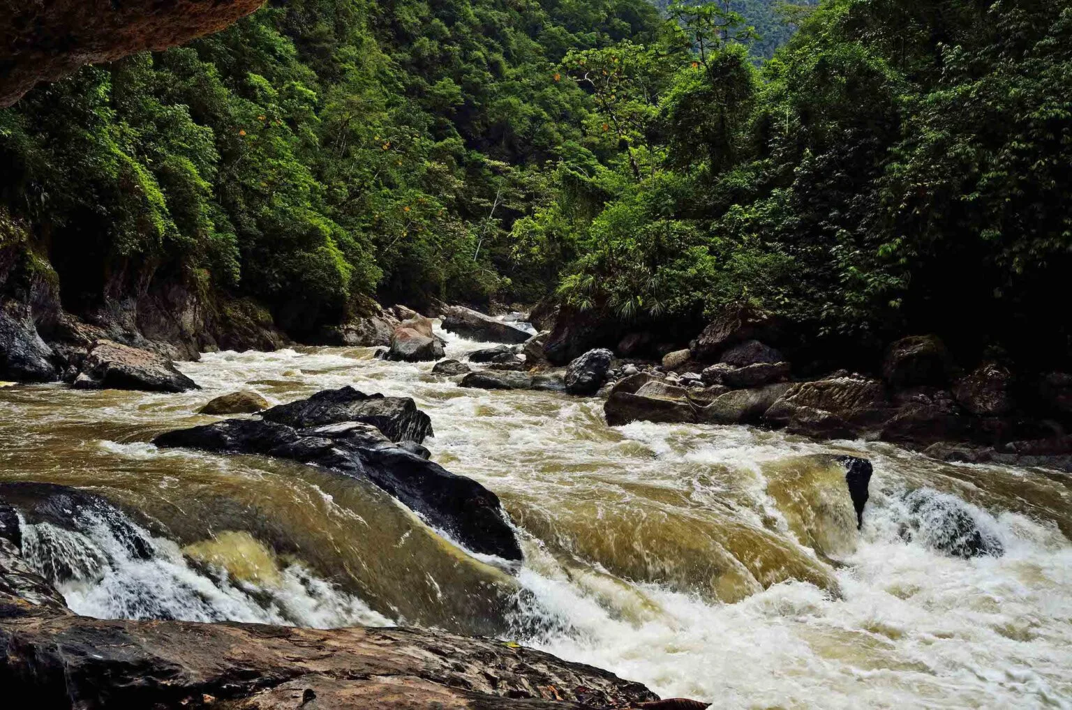 Conservación del agua: Un compromiso por la sostenibilidad