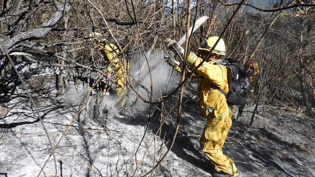 Guardaparques: Conoce la nueva ley que busca proteger sus derechos