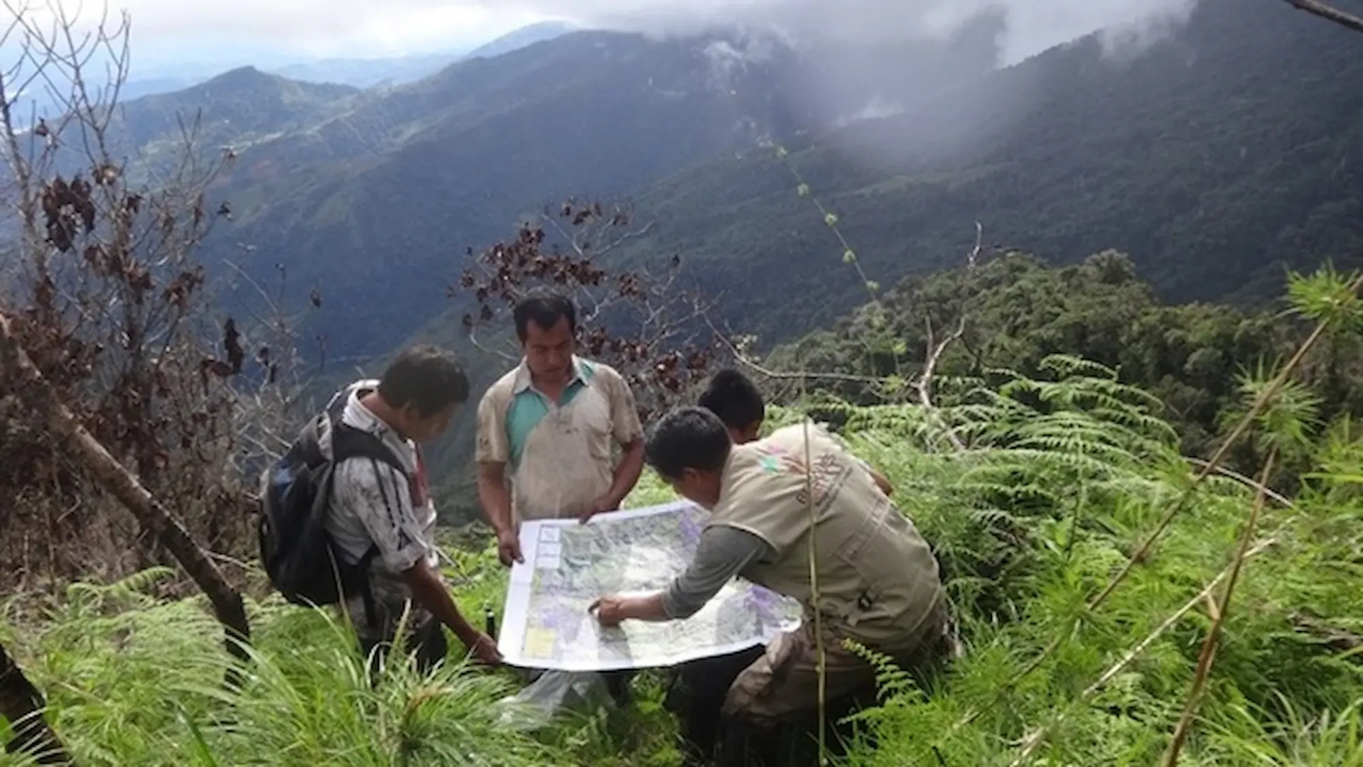 Minam implementa monitoreo satelital de bosques para promover la preservación de las zonas amazónicas del Perú. 