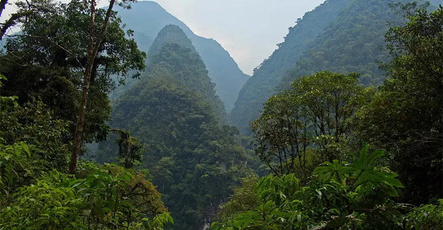 parque-nacional-yanachaga-chemillen-Agroperu