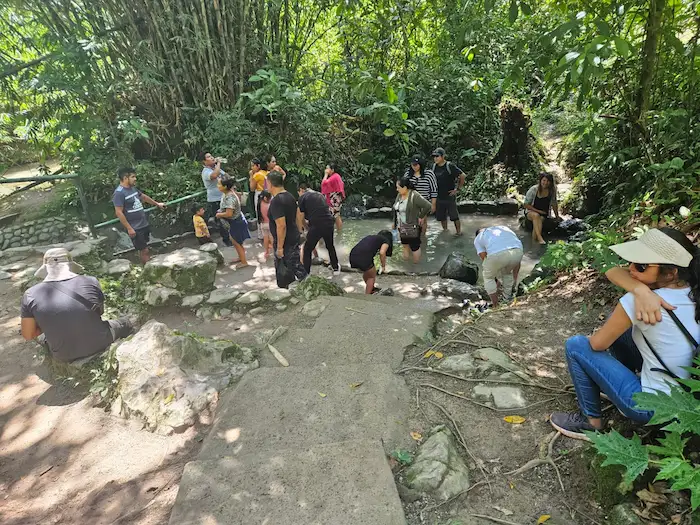 Parque Nacional Tingo María recibió a un total de 6975 turistas. (Foto: Inforegión).