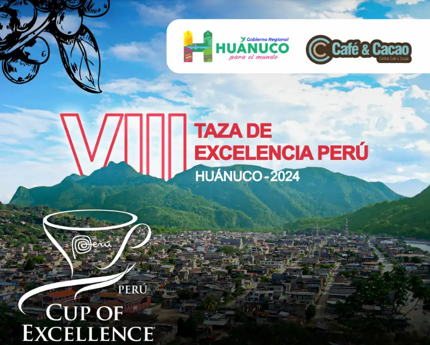 Taza de Excelencia 2024: Se espera la participación de más de 350 productores cafetaleros