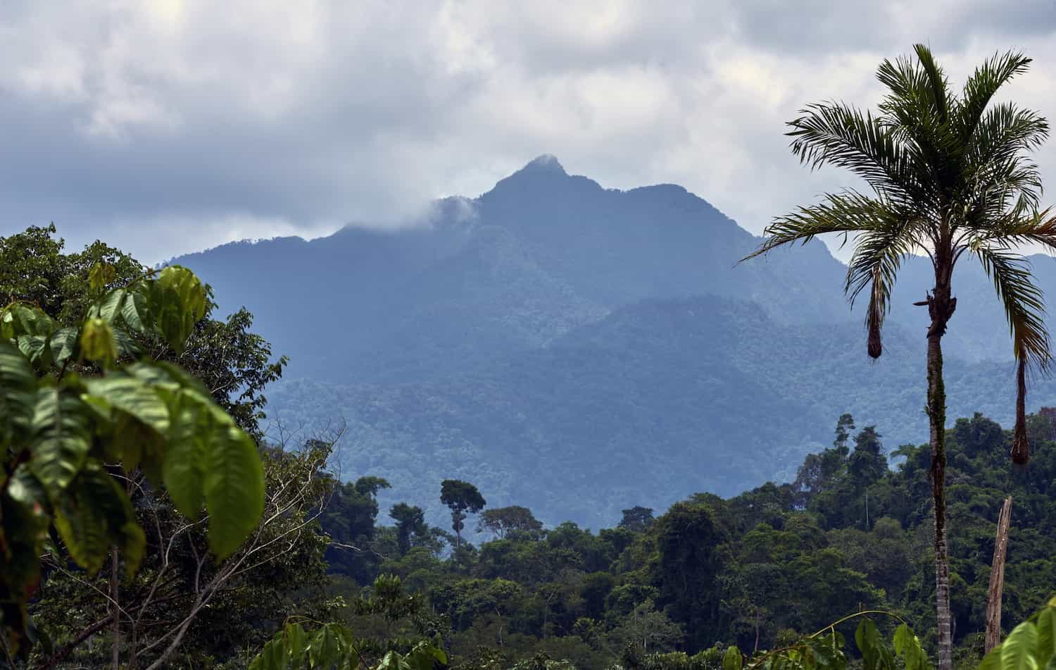 Descubriendo Janiriani: La catarata más alta de Oxapampa