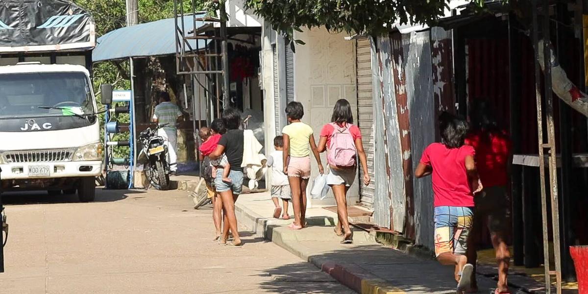 La bioeconomía no salvará al Amazonas