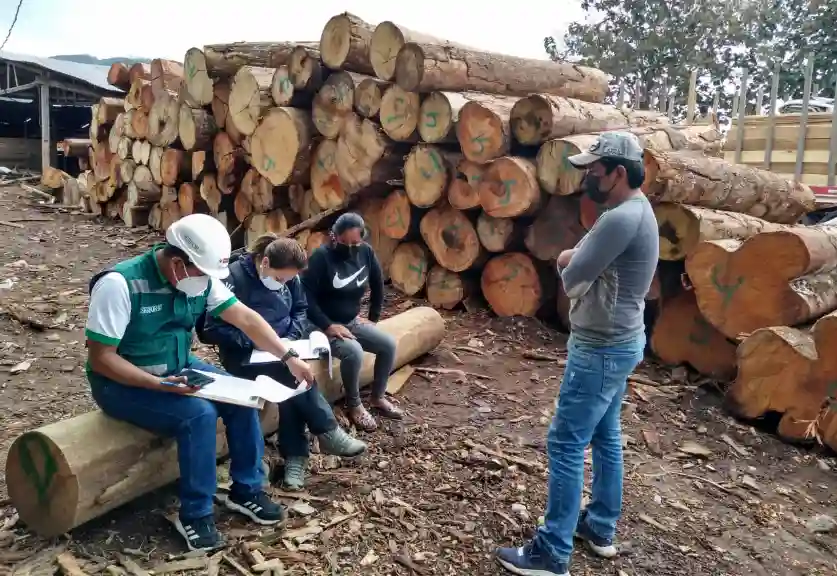 “Estamos frente a otro debilitamiento de la Ley Forestal y de Fauna Silvestre”