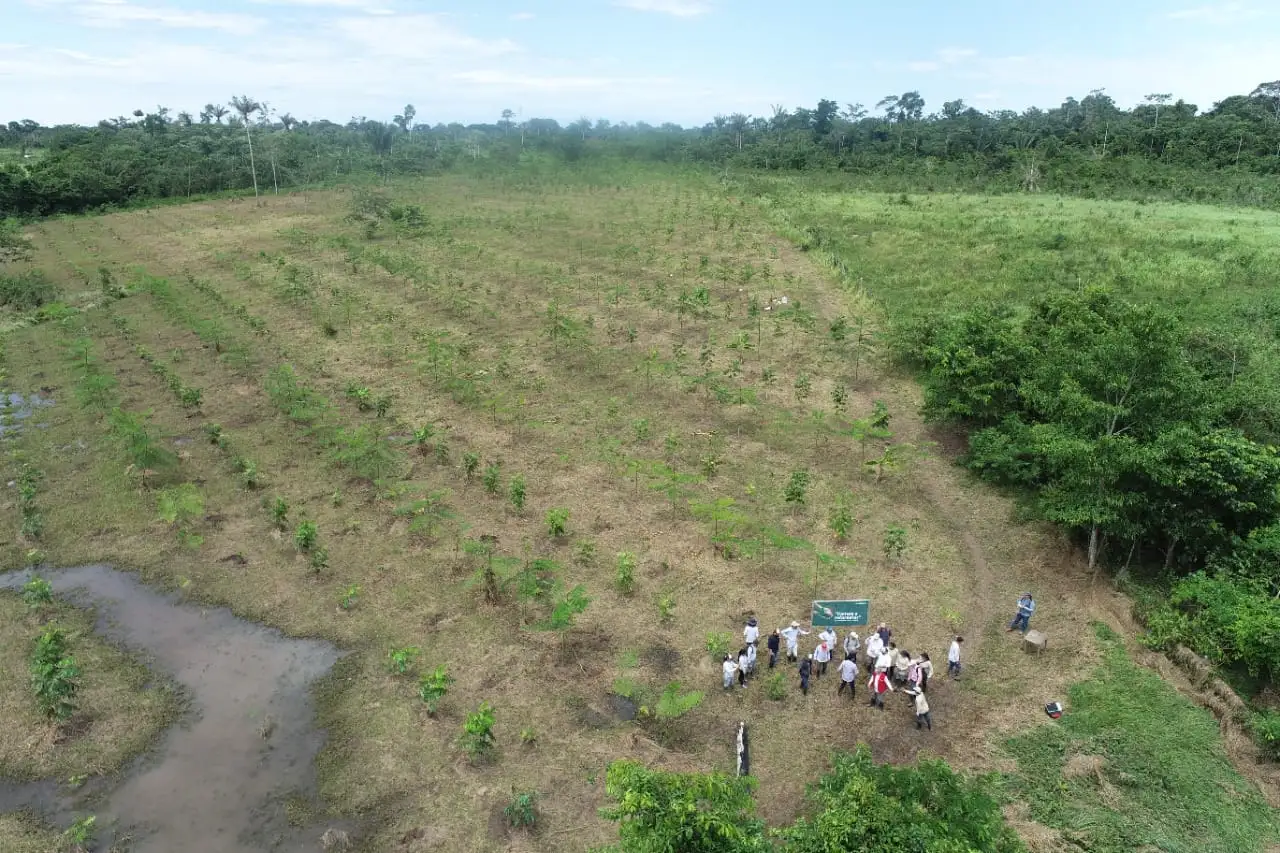 Conoce siete iniciativas que ponen freno a las tierras degradadas, a la desertificación y a la sequía