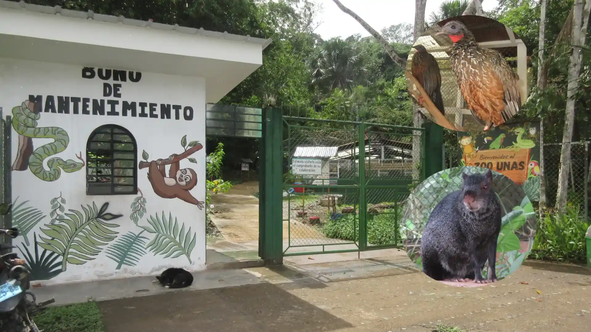 Leoncio Prado: Cinco razones para visitar la puerta de la Amazonía en Huánuco