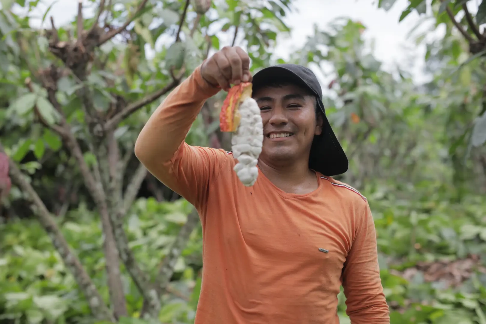 “Concursos nacionales aportan a la evolución en la calidad del cacao peruano”