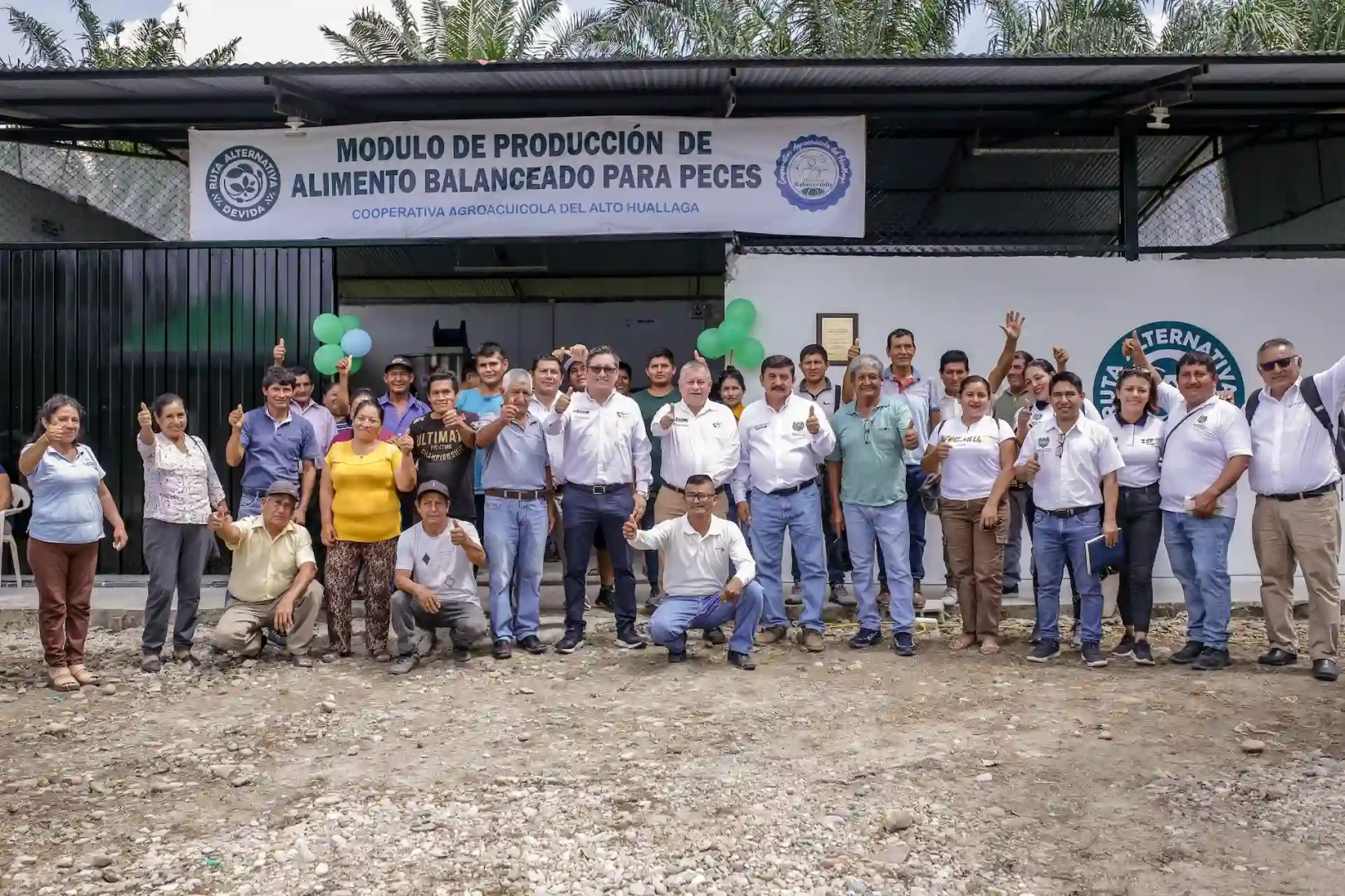 Fortalecen producción de alevinos y plátano en la región San Martín