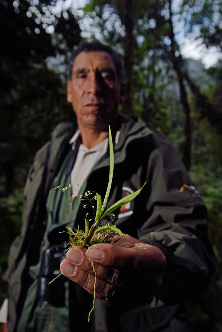 Emilio-Aparicio-Parque-Nacional-del-Manu