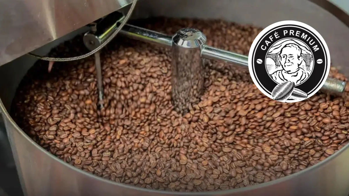 DON-GASTON-CAFE-4d7ba94f23096b2aa