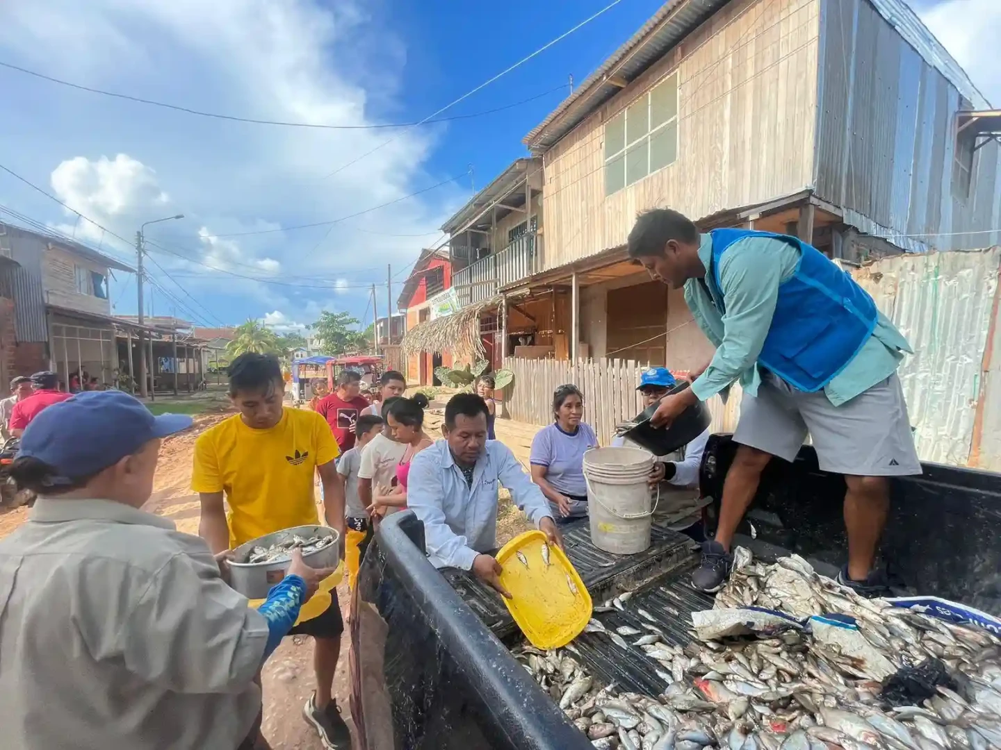 Decomisan media tonelada de pescado en operativo contra pesca ilegal en Ucayali