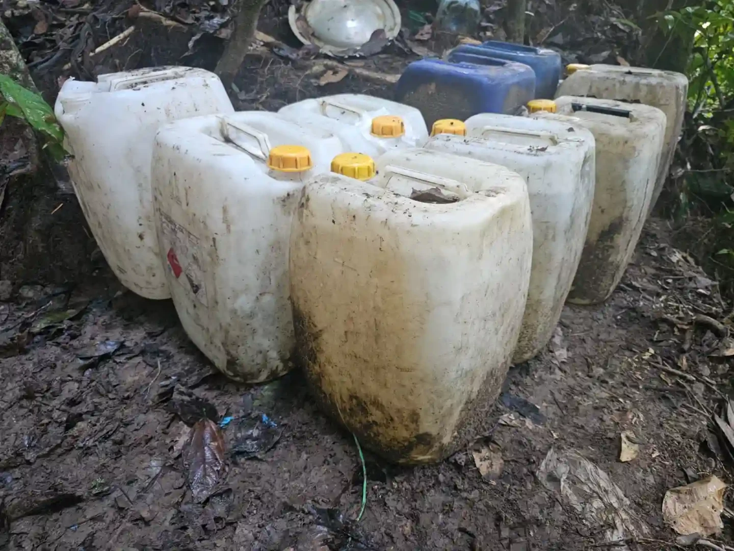 Ucayali: Laboratorio de cocaína es destruido por agentes policiales