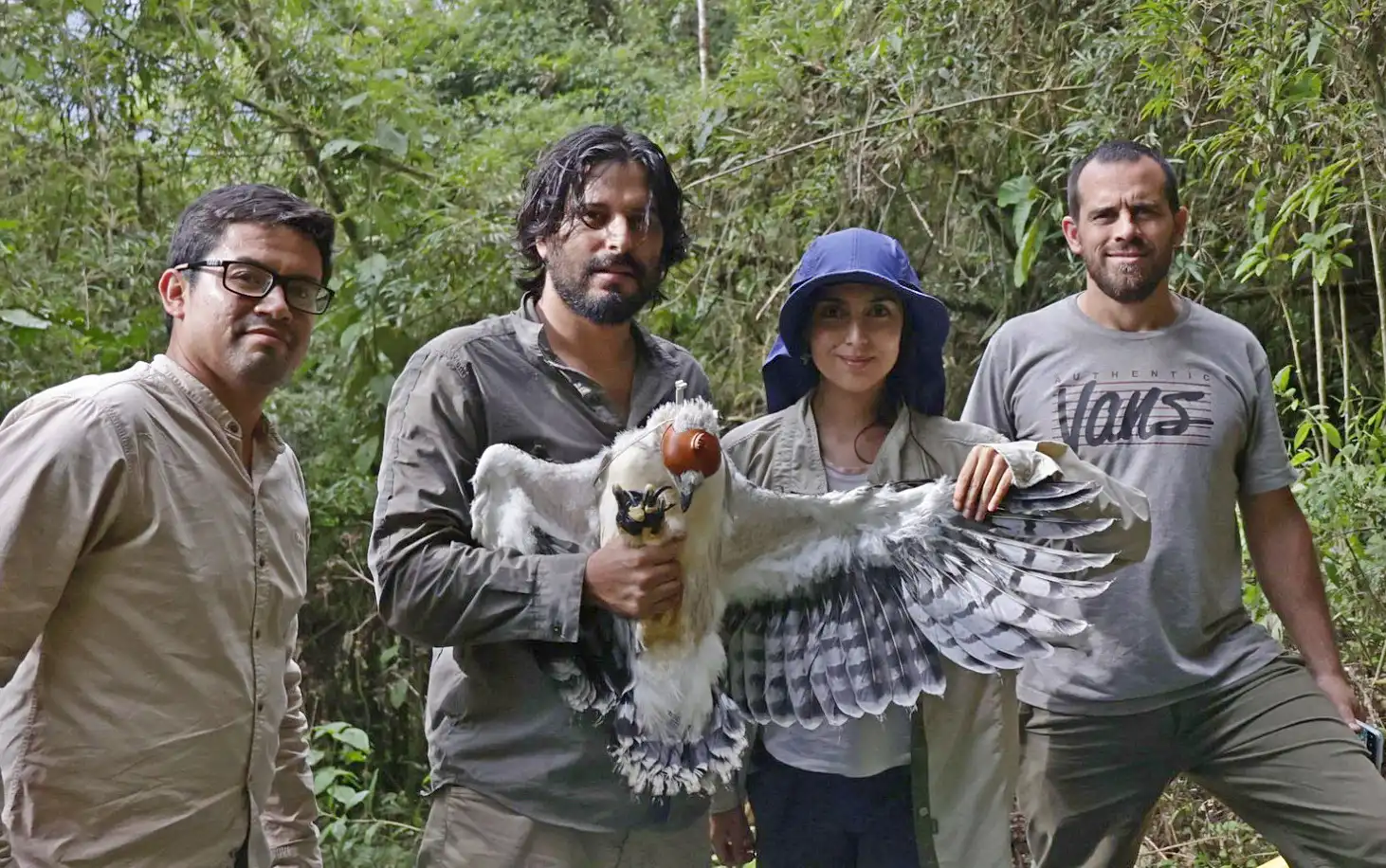Global Big Day: Una oportunidad para el avistamiento de aves en Oxapampa