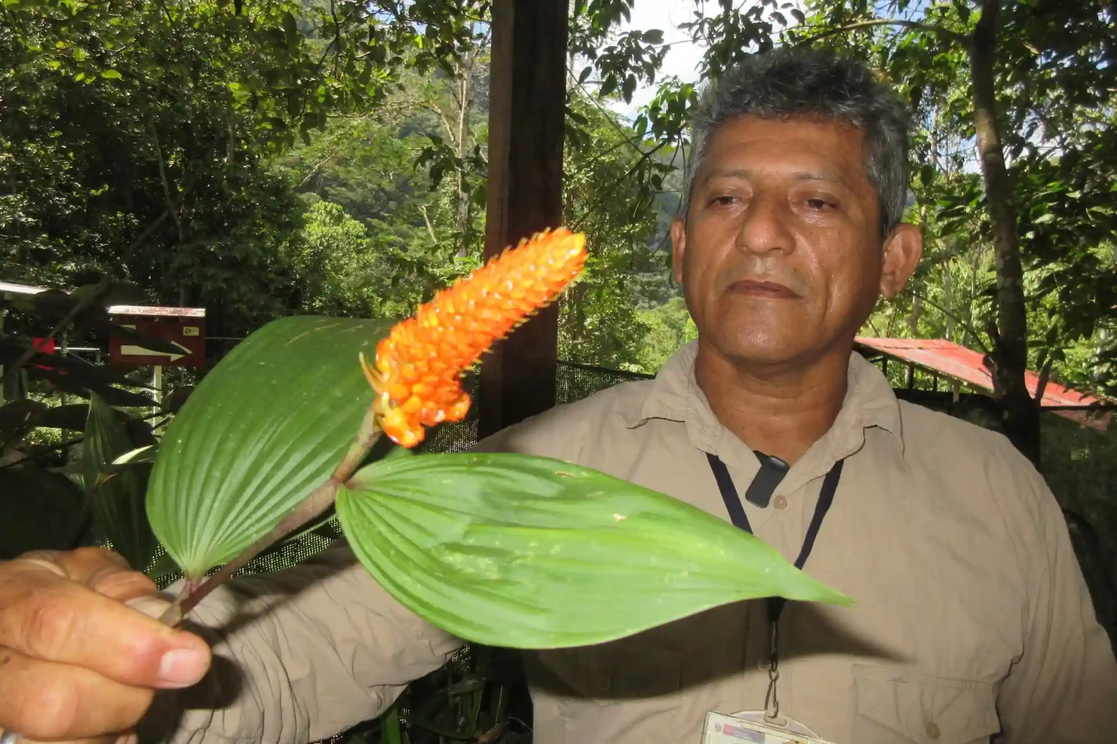Leoncio Prado, reservorio de la biodiversidad en la selva alta