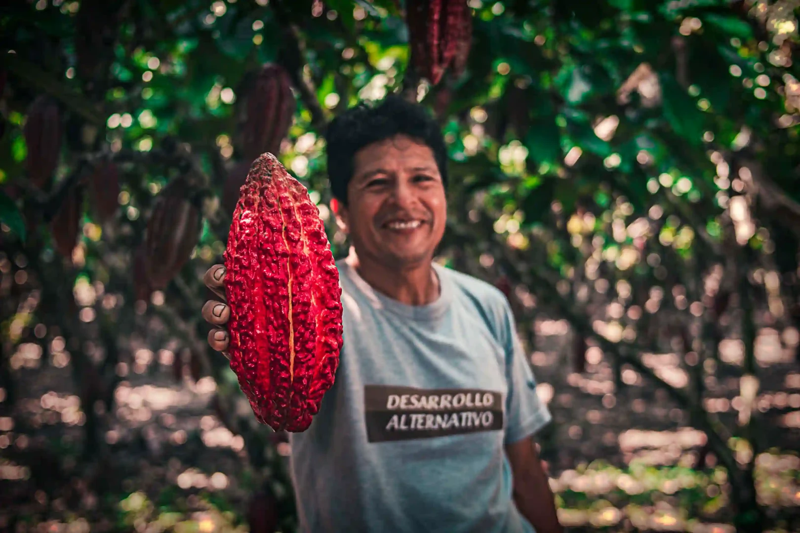 Ucayali: Plátano y cacao generan desarrollo de la comunidad nativa Santa Rosa