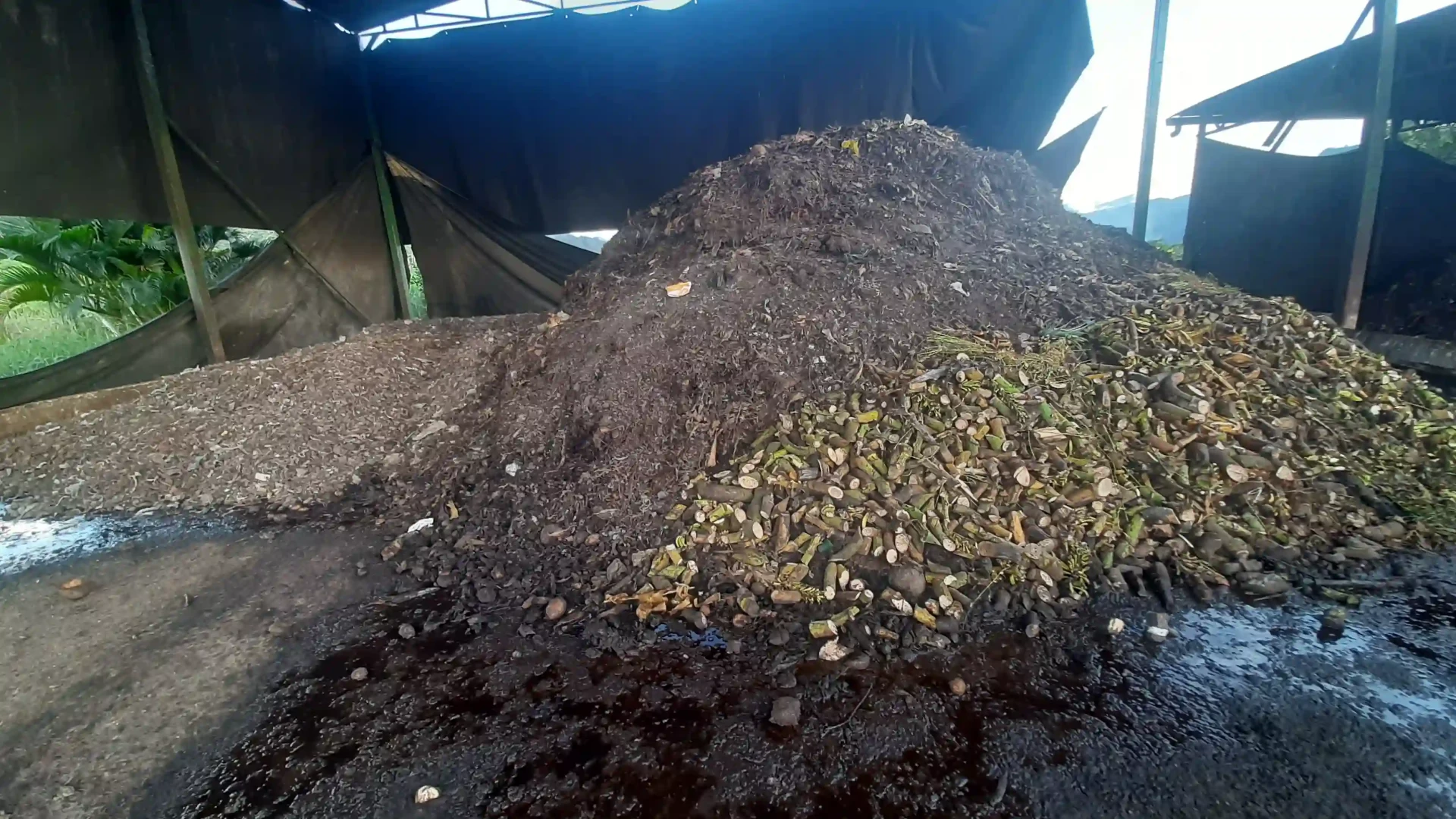 Preparan 150 toneladas de abono orgánico para agricultores de Leoncio Prado