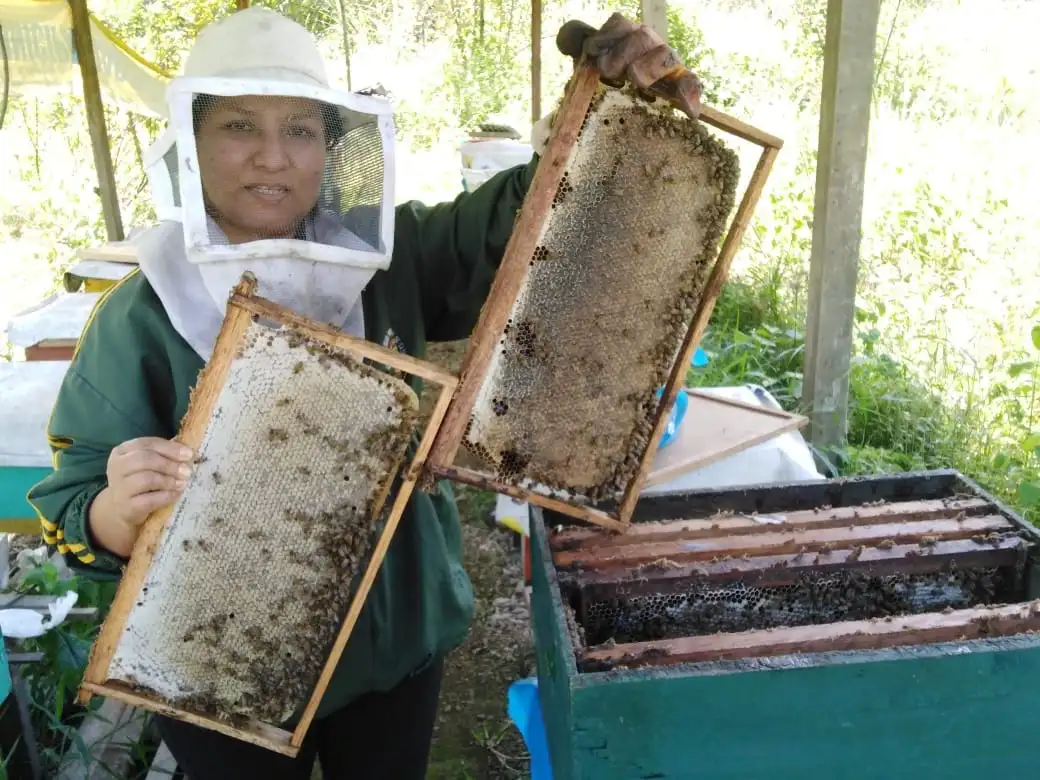 Conoce siete iniciativas que ponen freno a las tierras degradadas, a la desertificación y a la sequía