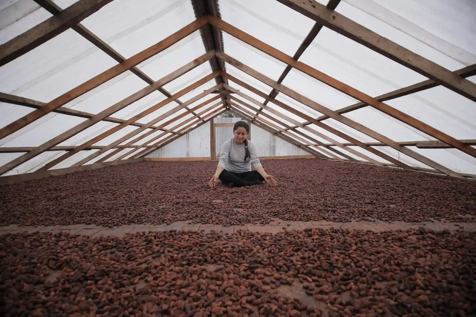 “Nuestra meta es llegar a diciembre con todos los productores de café y cacao georreferenciados” midagri